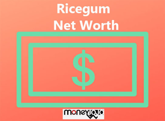 Ricegum net worth