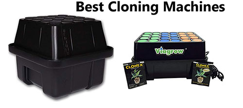 Best Cloning machines