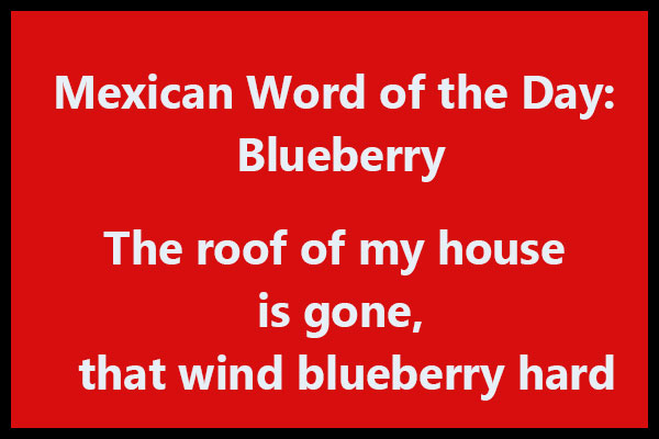 Blueberry mexican word of the day