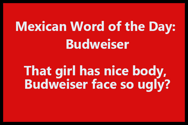 Mexican Word of the Day Budweiser
