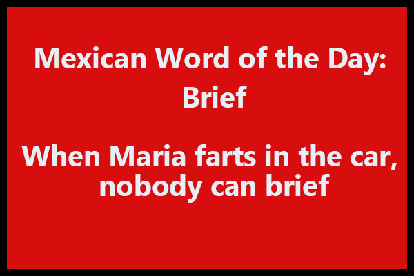 Mexican Word of the Day Brief