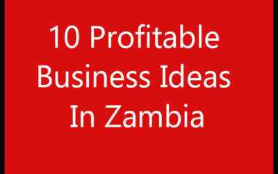 10 Profitable Business Ideas In Zambia
