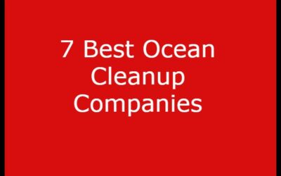 7 Best Ocean Cleanup Companies