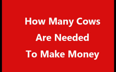 How Many Cows Are Needed To Make Money