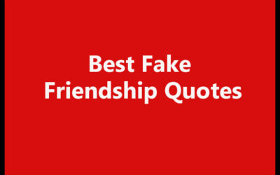 60 Best Fake Friendship Quotes