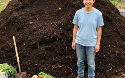 13 Ways To Get Free Compost Near Me